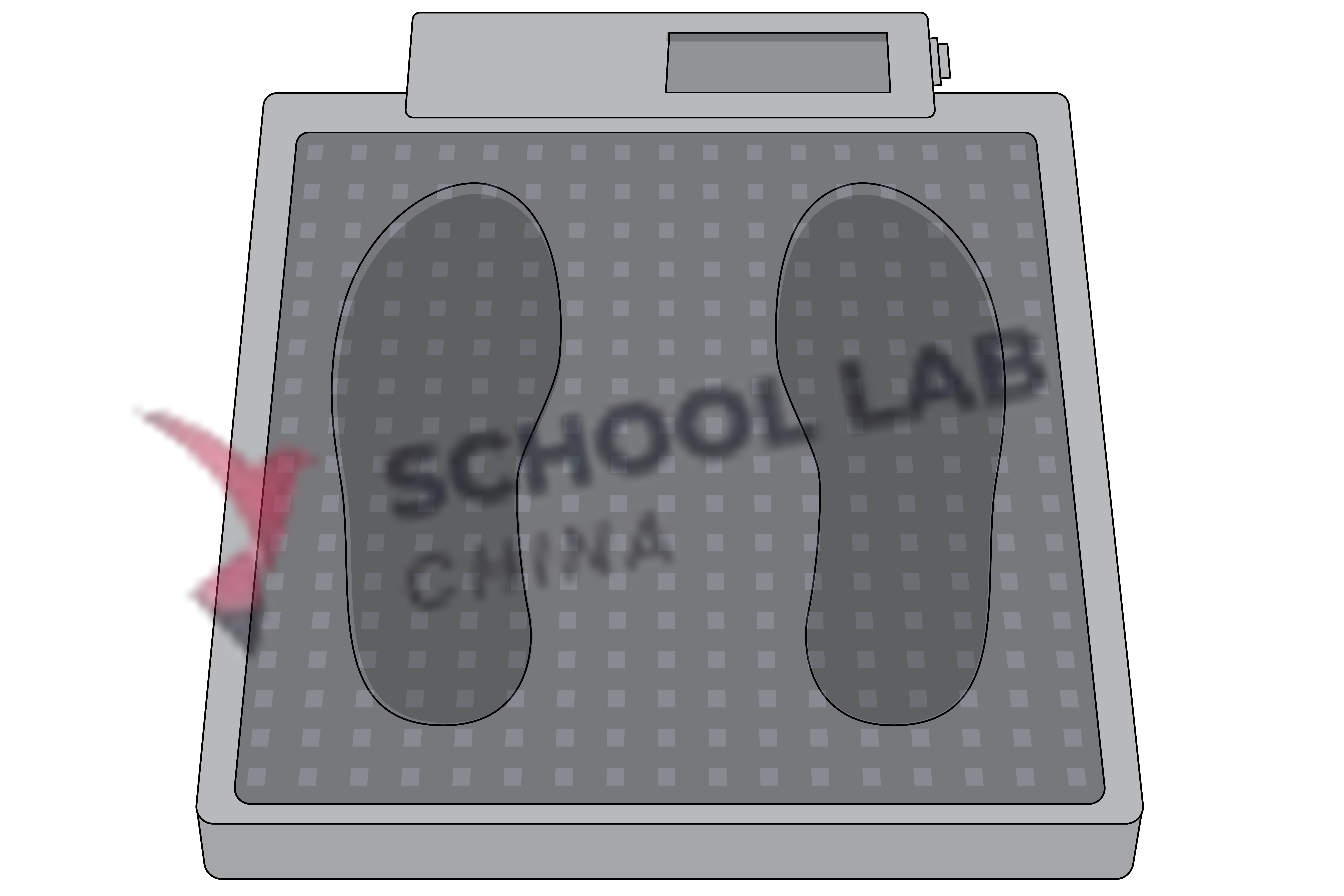 Scale,survey,mother/child,bat,150kg